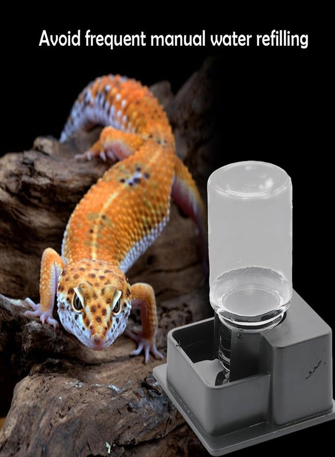 DQITJ 1 Pack Small Reptile Water Bowl Automatic Water Dispenser for Reptile Gecko Lizard Terrarium Bowl Feeder (Black) - Image 4